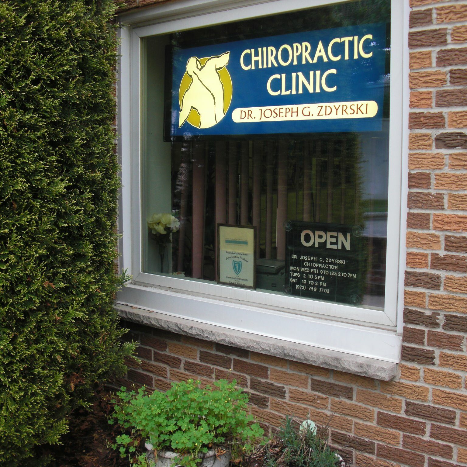 Chiropractor Belleville office
